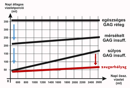 The more concentrated the urine is, the smaller the daytime mean voided volume is if the GAG-layer is not healthy