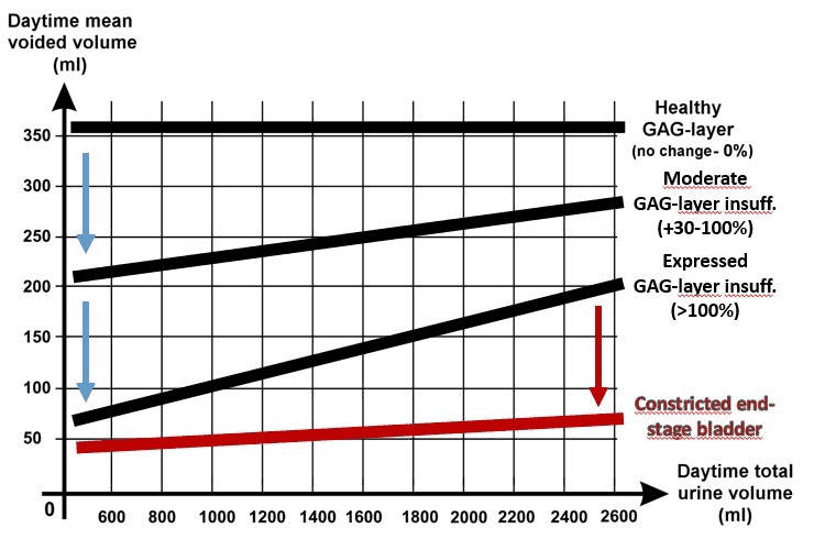 The correlation between the mean of the daytime urine portion and the total amount of daytime urine, in case of healthy people and IC/BPS patients.